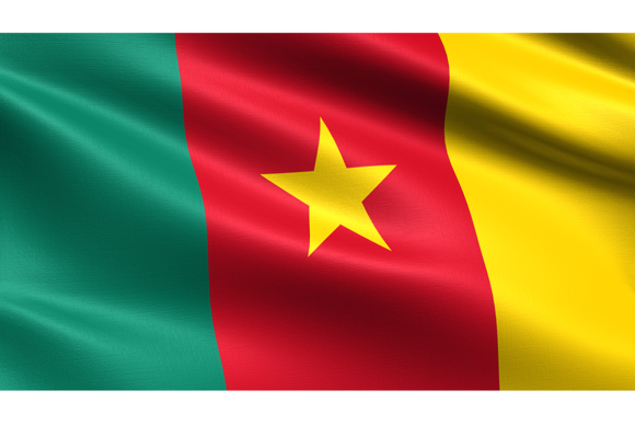 Cameroon Flag: Waving Fabric Texture for Dynamic Design