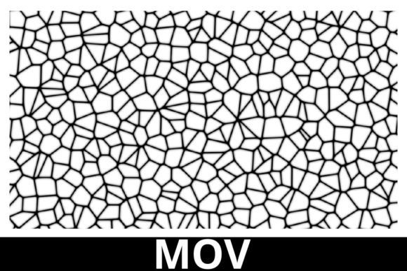 Cell Pattern Motion Graphics: The Geometry of Modern Movement