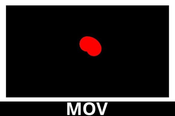 Circle Rainbow Motion Graphics: Elevate Your Visual Storytelling