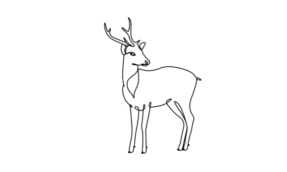 Deer Linear Motion Graphics: Fluid Line Art for Dynamic Brands