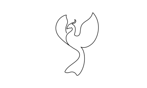 The Elegant Flow of Traditional Bird Line Motion Graphics